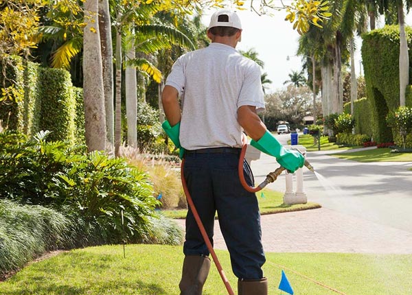 About Upperglade WV Pest Control